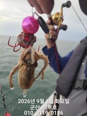 9월 1일 첫쭈꾸미 실시간 조항~♡ 사진