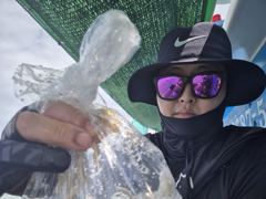 [사천] 1일 탐사 쭈꾸미 50수 전후로 잡았습니다, 씨알도 좋네요 ~^… 사진