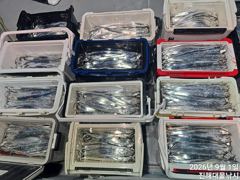 1일새벽,내만칼치 3지급까지 버글버글 엄청나게 물어~목,금욜예약가능~ 사진