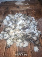 20연타30연타힛트힛트ㆍ내일2일쭈꾸미전투자리가능 사진
