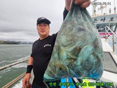 9월1일 인천남항 테슬란호 갑오징어조황입니다~~^^ 사진