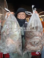 9월1일 초대박 조황 17명조사님들 ..장원33수 군산 홈런호 야간 문어 마무리 조황 입니다. 첫스타트 엄청난 조과로 앞으로 문어출조가 설레입니다.오늘 하루 홈런호에 승선하신 조사님들 수고 하셨습니다. 사진