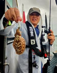 오늘의조황 - 9월1일 팀배틀호 쭈꾸미 조황! 내일은 더 파이팅! - 전투낚시,선상낚시 출조전문 사진