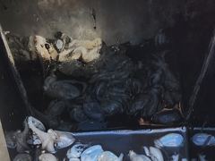 여수화이트폭스호 쭈꾸미 출조합니다 사진