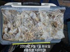 [홍원항타이탄호]8월23일(일) 사이즈 좋은 백조기로 찬거리 장만하고 왔습니다. 사진