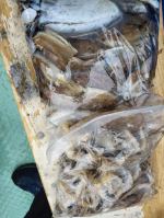 10월29일 출조현황 사진