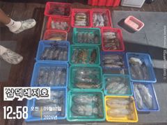 [팁런]무늬.일인두자리,마리수(오늘.소수인원,출항확정) 사진