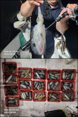 [마산] "해적" 무늬 팁런 사이즈&마릿수 굿! 3톤 세자릿수 오바~!!… 사진