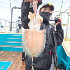 9월 1일 신진도 어해루호 쭈꾸미조황 사진
