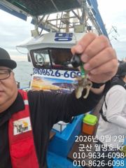 9/2일, 재미있고 맛있는 쭈꾸미낚시~오늘 잘 나오고 있어요~… 사진