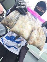 9월2일 그랜드호 쭈꾸미 조황입니다 (내일 캔슬 여유자리 있습니다 ) 사진