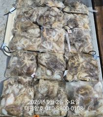 ★★ 9/2 [군산 대일피싱] 태평양호 쭈꾸미 조황 !~ 내일 8자리있습니다. 사진