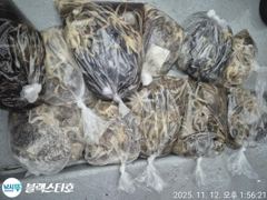 [사천] 낼 아침 쭈꾸미출조 확정 8자리여유 사진