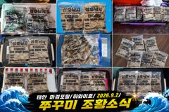 [쭈갑조황] 9.2 하와이호 쭈꾸미 조황소식 사진