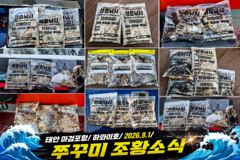 [쭈갑조황] 9.1 하와이호 쭈꾸미 조황소식 사진