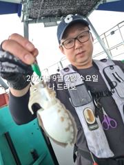 9/2일, 군산 쭈꾸미~갑돌이는 보너스~오늘 조황~내일도 갑니다~~군산 범고래호 사진