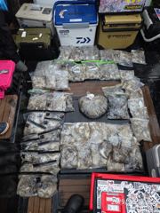 2026.9.2일 무창포 총각피싱 쭈꾸미조황입니다 사진