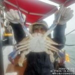 9월2일 홍원항 백두산호 쭈꾸미 조황입니다.. 사진