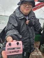 9월2일 쭈꾸미~ 2일차 조황입니다 사진