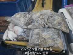 [홍원항타이탄호] 9월2일(수) 쭈꾸미 2일차 자릿수가 다른 오늘 사진