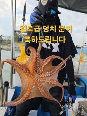 삼천포 마린보이 9. 3. 목요일 주간 / 야간문어 출항합니다. 사진