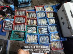 무늬조황 사진