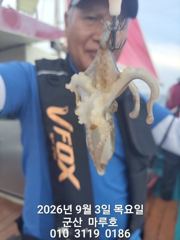 9월 3일 쭈꾸미 실시간 조항~☆ 사진