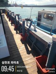 내일 조금물때 쭈꾸미 예약중입니다 사진