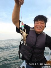 9/3일, 군산 쭈꾸미~재미있는 쭈꾸미낚시~~내일도 갑니다~군산… 사진