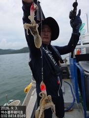 (南)남해조황 - #여수블루웨이호 주꾸미출조 대박조황!!!!!! 올립니다ㅡ 사진