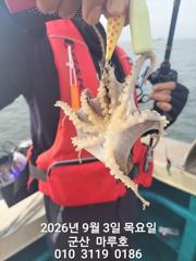 9월 3일  군산 마루호 쭈꾸미  최종조항~ ☆ 사진