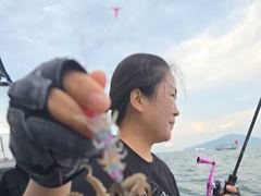 ◆◆03일.군산킹마린호◆◆쭈꾸미 굿조황◆◆다음주자리여유 사진