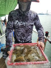 [사천] 갑오징어 바구니에 넘치네요 내일 출조확정 자리여유 많습니다 사진