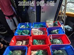 26년 9월 3일!! 인천 썬스타호!! 쭈꾸미대첩 3일차 조황입니다~^.^ 사진
