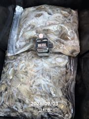 9월3일 고트호 조황 사진