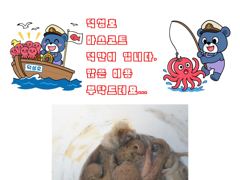 [사천] 삼천포덕성호 돌문어 출조 예약 받습니다.(2026년 9월 03일… 사진