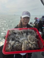 2일 쭈꾸미 조황 입니다 사진
