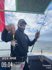 금요일 쭈꾸미 조황입니다 사진