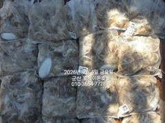 9/4일, 군산주꾸미~ ~점점 좋아지는 쭈꾸미 굿조황~군산 포세이돈호 사진