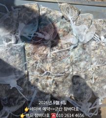 4일 군산 쭈 조황입니다. [군산 참바다호] 사진