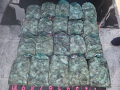 히트호 조황 - 9월 3일 주꾸미 조황 - 새벽낚시 히트호 사진