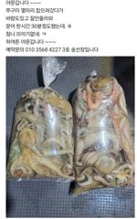 조업 다녀왔습니다 1시간 30분 조업 사진