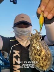 9월4일-쭈꾸미 조황 사진