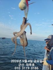 9월4일 최종 조항 ~ ☆ 사진