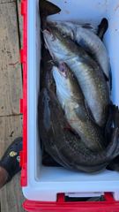 금일대구 사진