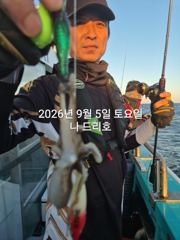 9/5일, 군산주꾸미~오늘도 나오고 있어요~실시간~점점 좋아지는 쭈꾸미조황~군산 나드리호 사진