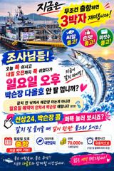 출조안내 - 내만갈치) 피딩피딩핑~6일 같이 출항하시죠? 사진
