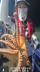 출조안내 - 9.5. 군산슈퍼마린호 쭈꾸미 실시간 사진