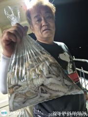 [사천] 문어조황굿~오늘오후 4시~12시 사진