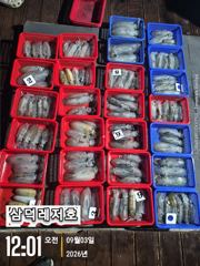 [팁런]무늬.100수는 가볍게 넘기고 (월요일 16시,출항) 사진